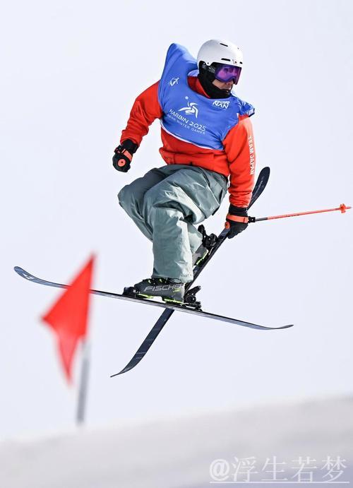 自由式滑雪世锦赛男子大跳台决赛 自由式滑雪世锦赛男子大跳台决赛